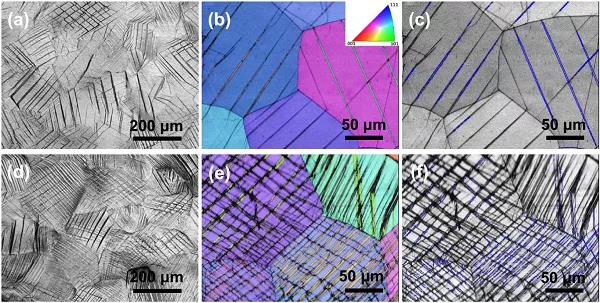 想更深刻的理解不斷問鼎金屬頂刊且熱度不減的TWIP效應？